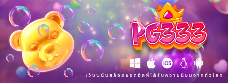 PG333 Banner